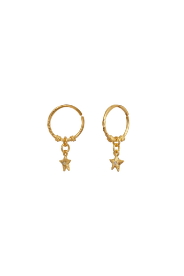 Isleen Earrings - Gold