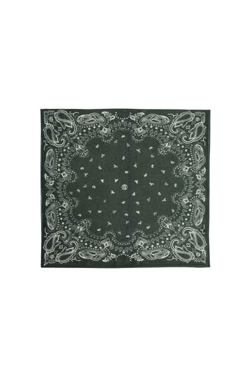 Cashmere Paisley Scarf - 65 Cm - Green & Cream
