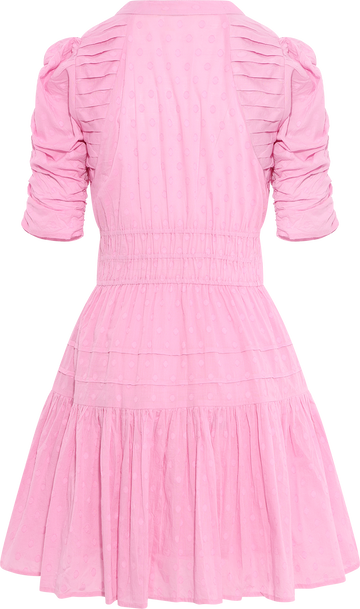 Fabienne Mini Dress - La Rosa