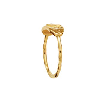 Amarit Ring - Gold