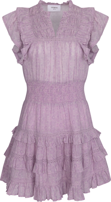 Fryd Paisley Dress - Pink Paisley