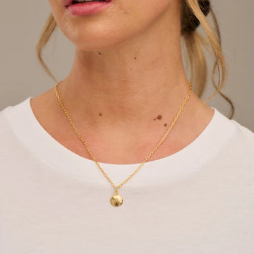 Swarovski Citrine Disc Necklace - Citrine