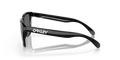 Frogskins - Polished Black - Prizm Black