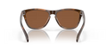 Frogskins - Matte Brown Tortoise - Prizm Tungsten