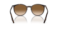 Ray-Ban RB2204 Solglasögon - Havana