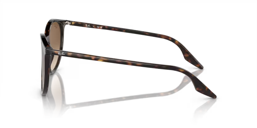 Ray-Ban RB2204 Solglasögon - Havana