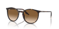 Ray-Ban RB2204 Solglasögon - Havana