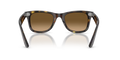 Wayfarer - Light Havana - Polarized Brown Gradient