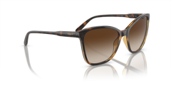 0VO5520S - Dark Havana