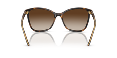 0VO5520S - Dark Havana