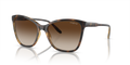 0VO5520S - Dark Havana