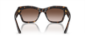 0VO5524S - Dark Havana