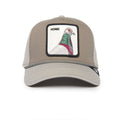 Pigeon 100 - Grey