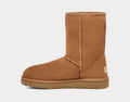 W Classic Short II - Chestnut