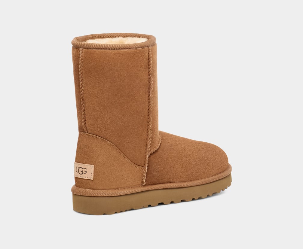 W Classic Short II - Chestnut