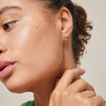 Classic Wide Hoops - Guld