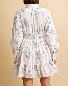 Poplin Button Down Mini Dress - Blue Field