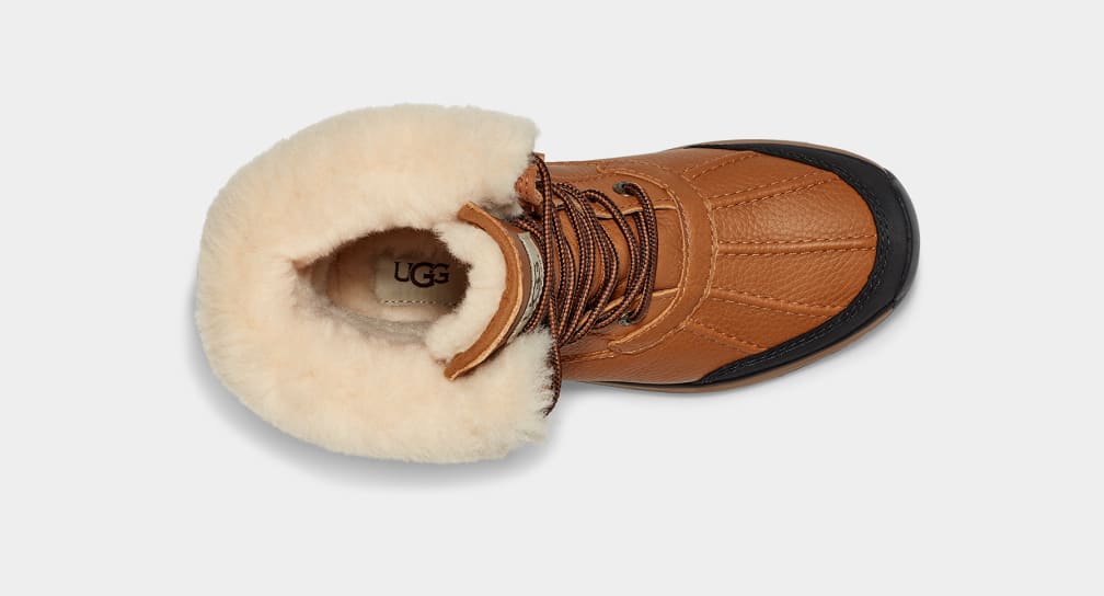 W Adirondack Boot III - Chestnut