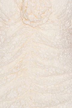 Lace Mini Dress V-Neck - Egret