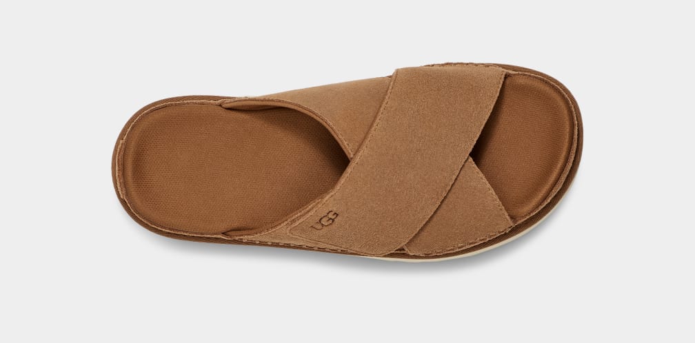 W Goldenstar Cross Slide - Chestnut