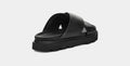 W Capitelle Crossband - Black