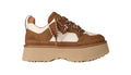 W Astromel - Chestnut