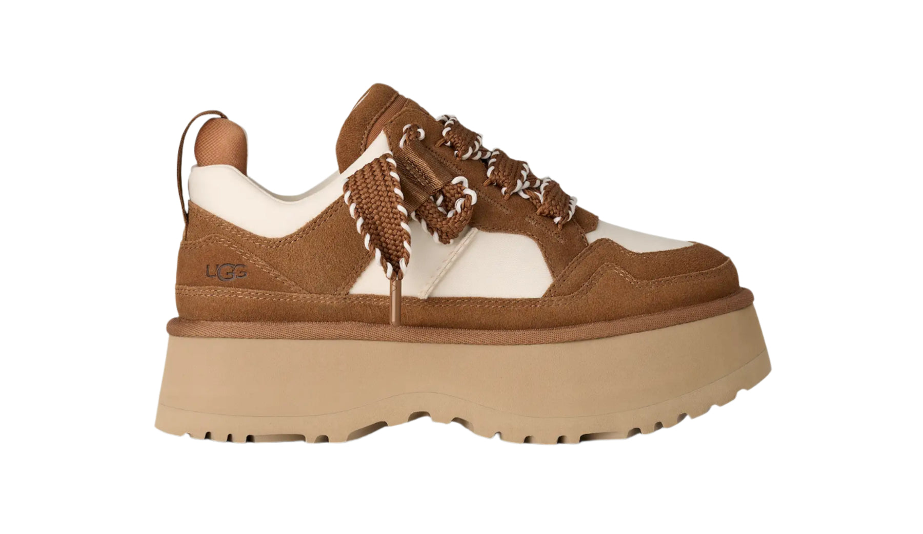 W Astromel - Chestnut
