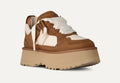 W Astromel - Chestnut