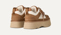 W Astromel - Chestnut