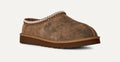 M Tasman Baxter - Chestnut