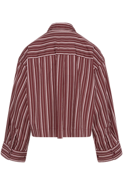 Astha Ls Cropped Boxy Shirt - Tawny Port