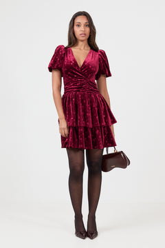 Jade Velvet Mini Dress - Dark Red