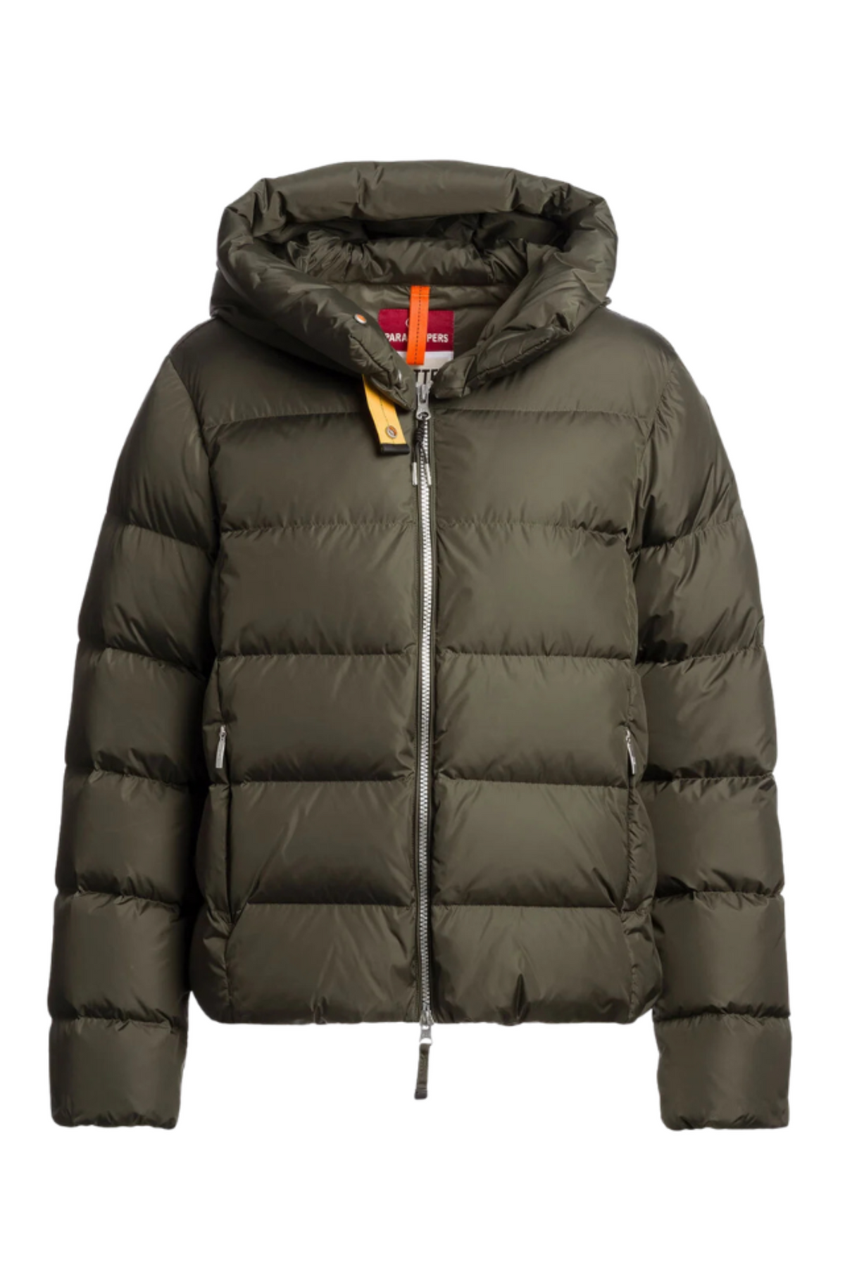 Jinny - Taggia Olive