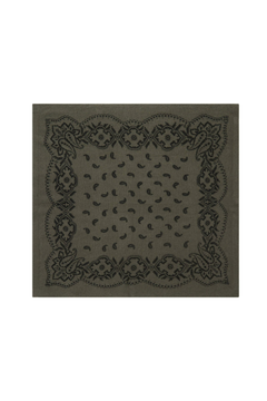 Adelina Paisley Knit Scarf - Army