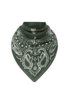 Cashmere Paisley Scarf - 65 Cm - Green & Cream