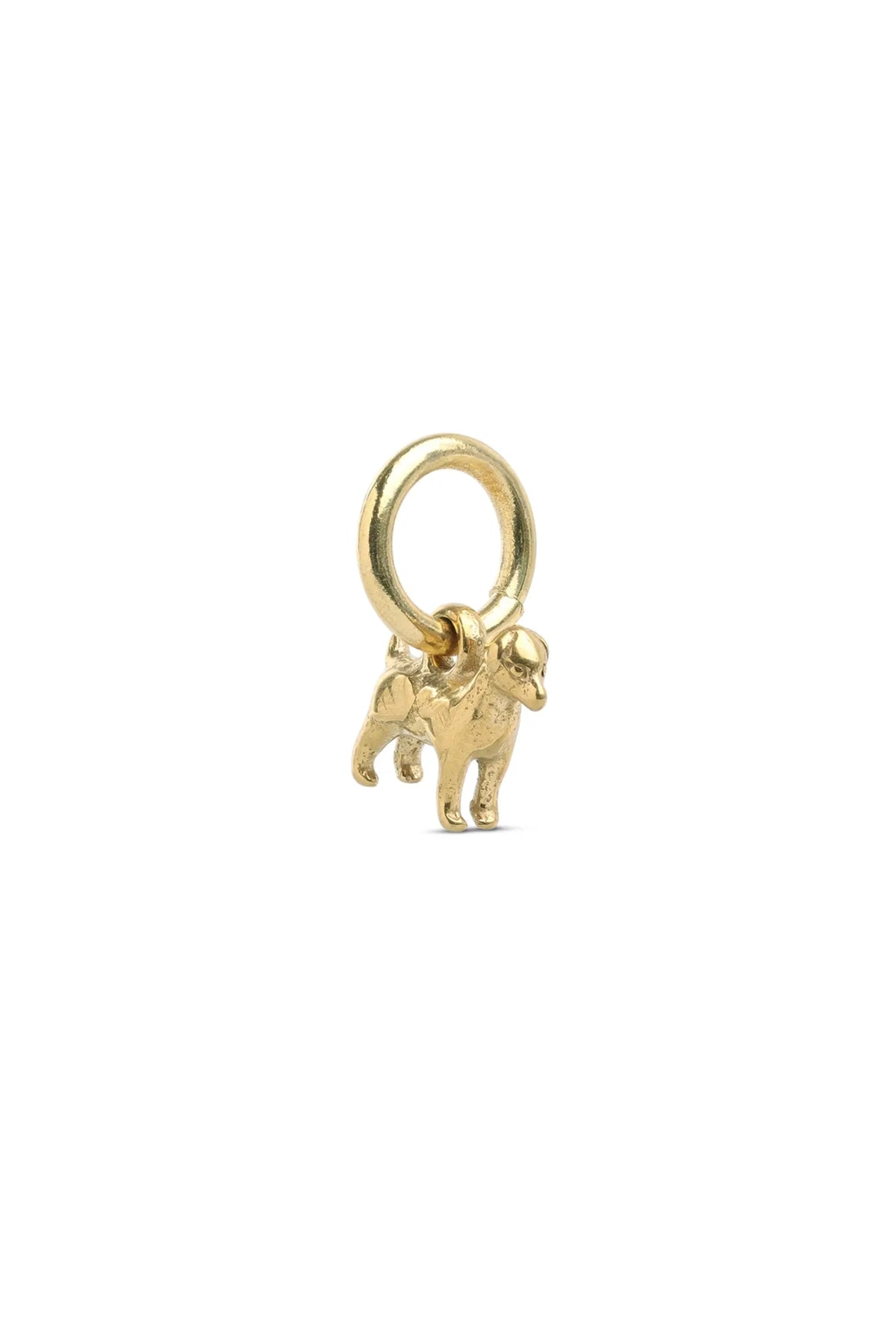 Roya Dog Charm - Gold