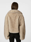 SIZE:Str. 36, HEIGHT:176