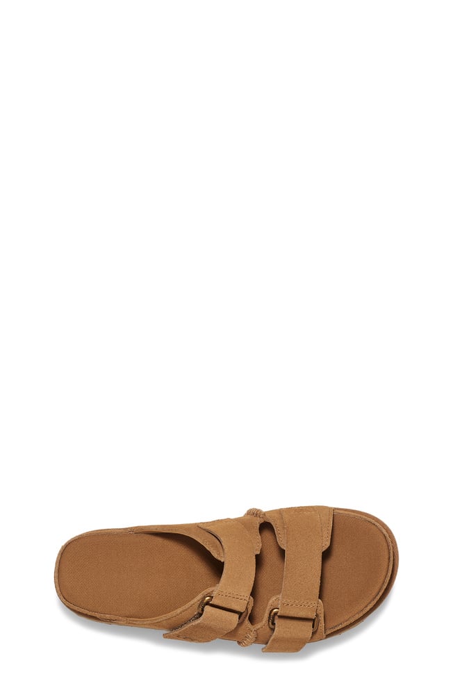 W Goldenstar Hi Slide - Chestnut