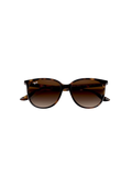 Ray-Ban RB4378 Solglasögon - Havana