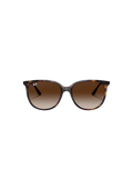 Ray-Ban RB4378 Solglasögon - Havana