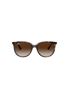 RB4378 - Havana - Gradient Brown