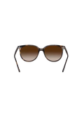 Ray-Ban RB4378 Solglasögon - Havana