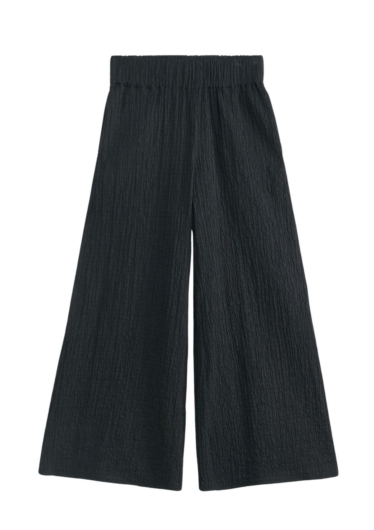 Campine - Black