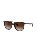 Ray-Ban RB4378 Solglasögon - Havana