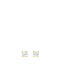 Studs Örhängen 6 mm - Guld
