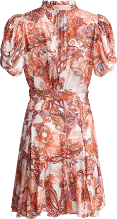 Iris - Orange Paisley