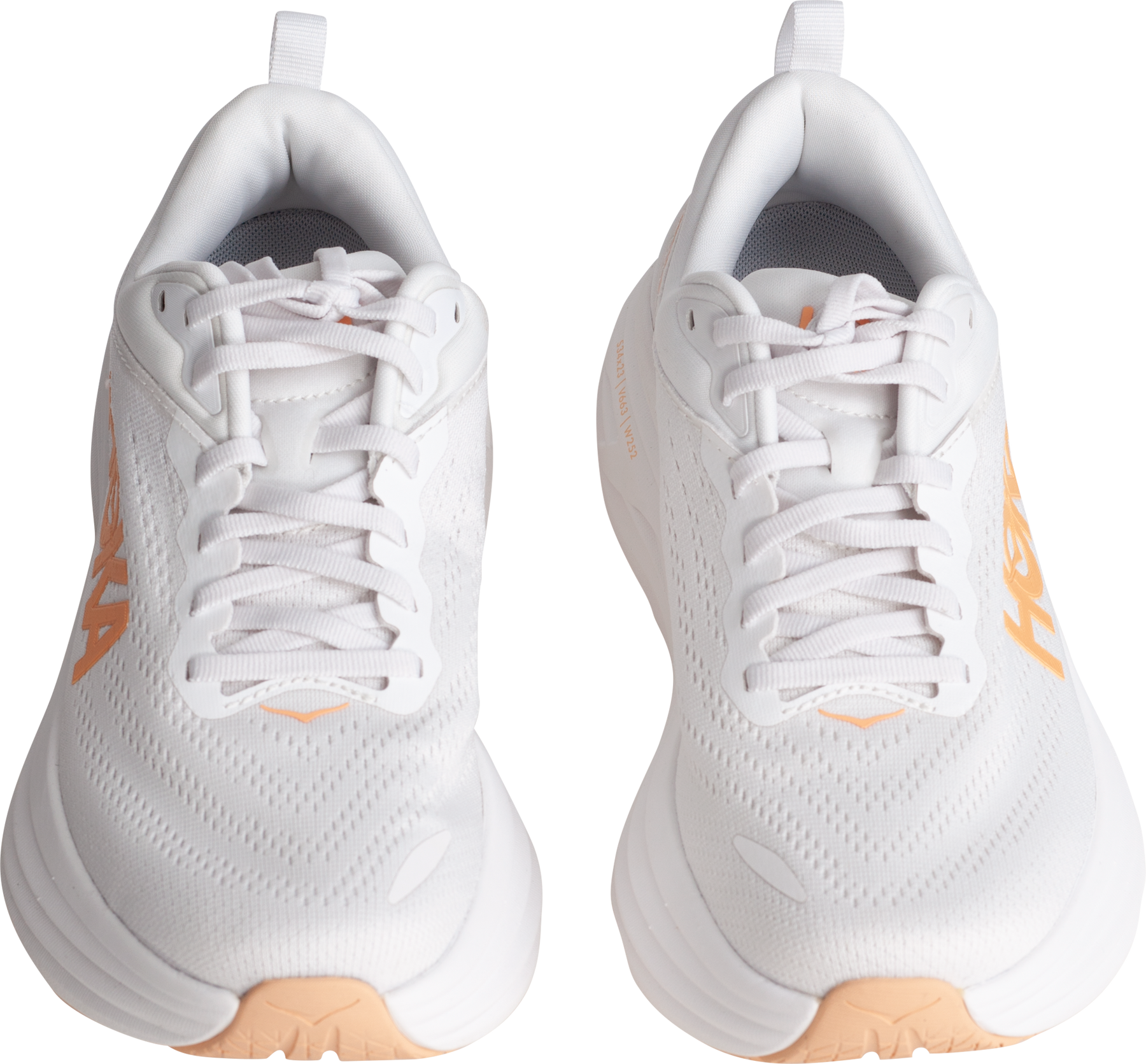 W Bondi 8 - White / Cantaloupe