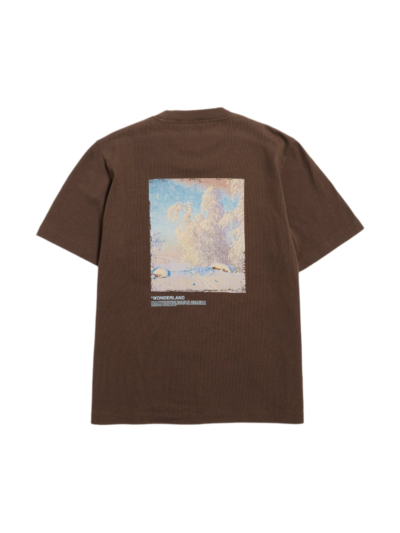 Kjerag National Tee - Brun
