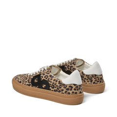 Kohia Suede - Leo Combo