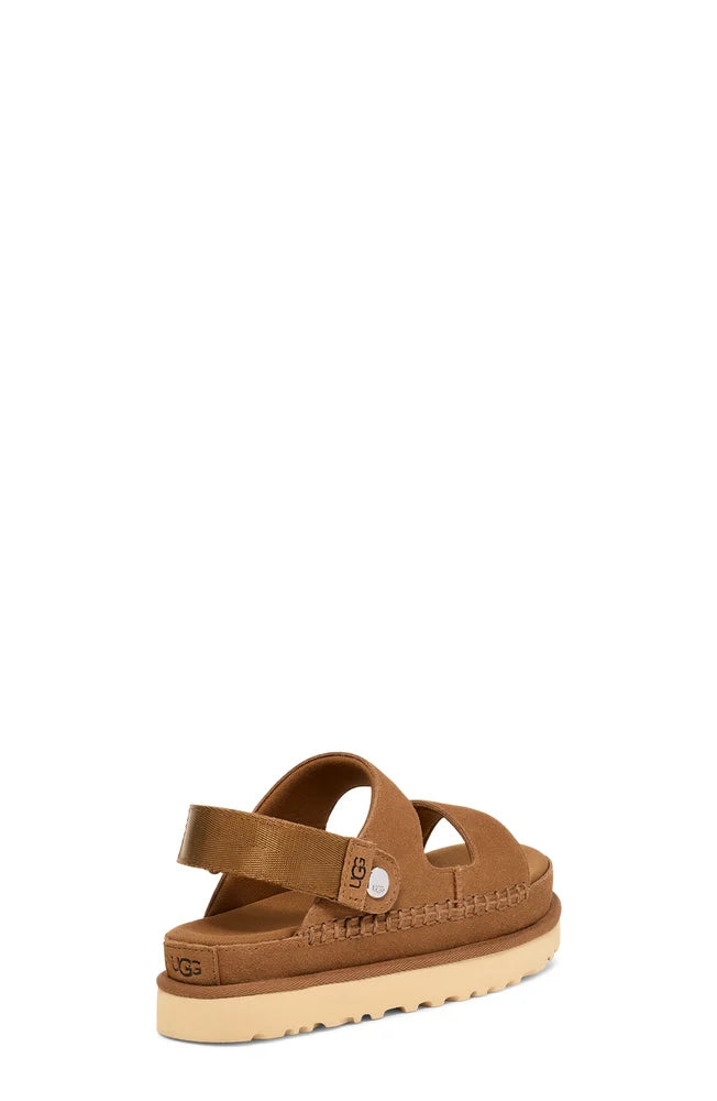 W Goldenstar Glide - Chestnut